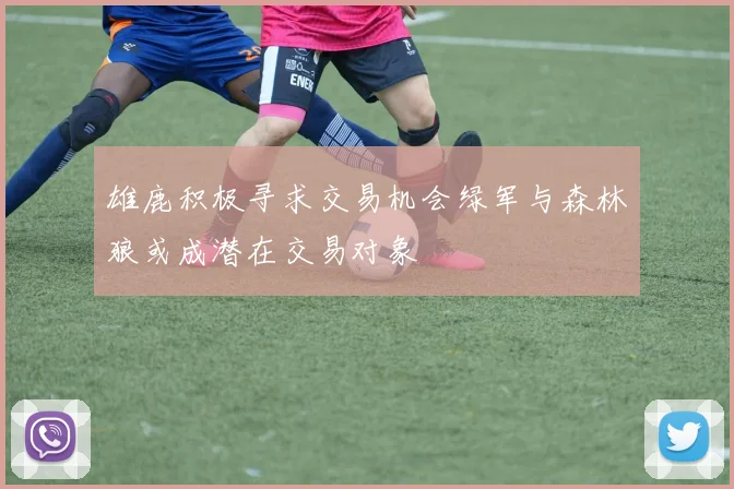 雄鹿积极寻求交易机会绿军与森林狼或成潜在交易对象