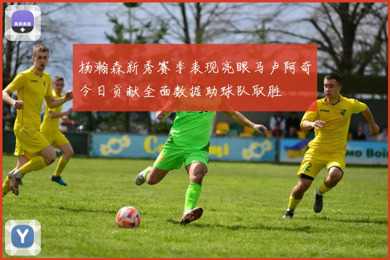 杨瀚森新秀赛季表现亮眼马卢阿奇今日贡献全面数据助球队取胜