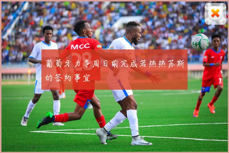葡萄牙力争周日前完成若热热苏斯的签约事宜
